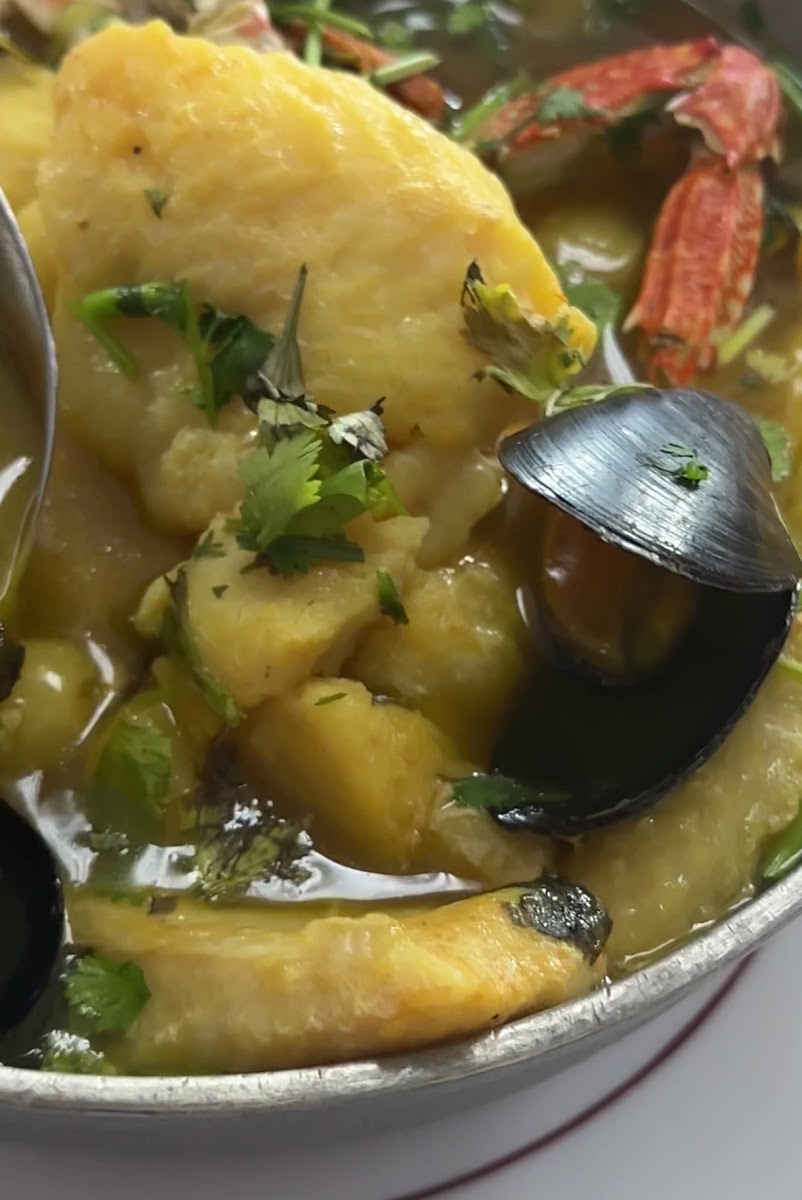 Close-up of seafood dish