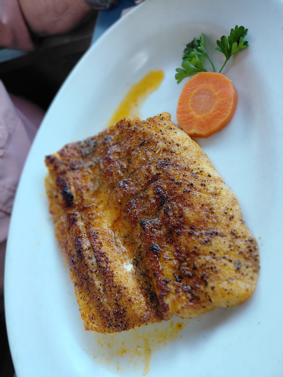 Grilled fish with garnish